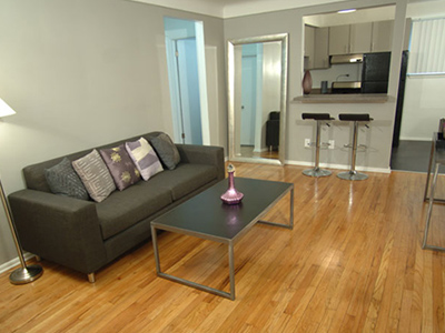 Two-Bedroom Apartments in Royal Oak, Michigan | Metropolitan Flats - metro13-interior-living-room